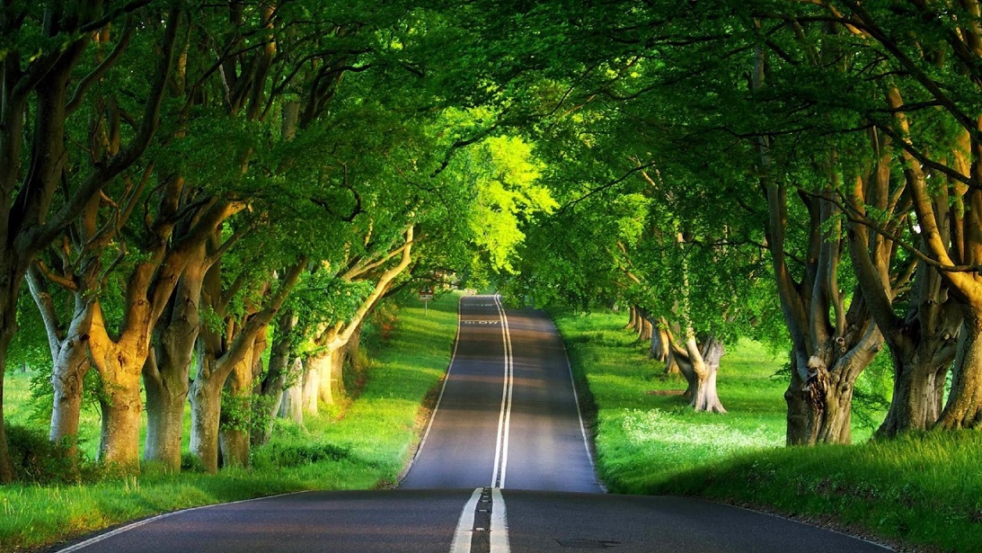 Green Road